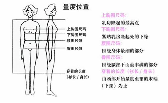 购买内衣小困扰 怜美帮您来解决